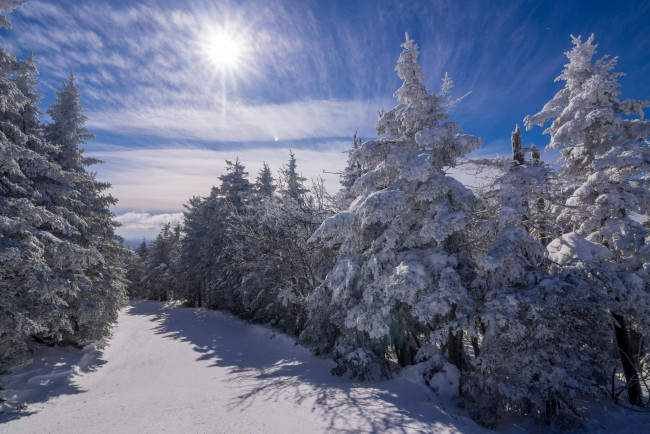 Обои картинки фото природа, лес, зима, снег, сугробы, деревья