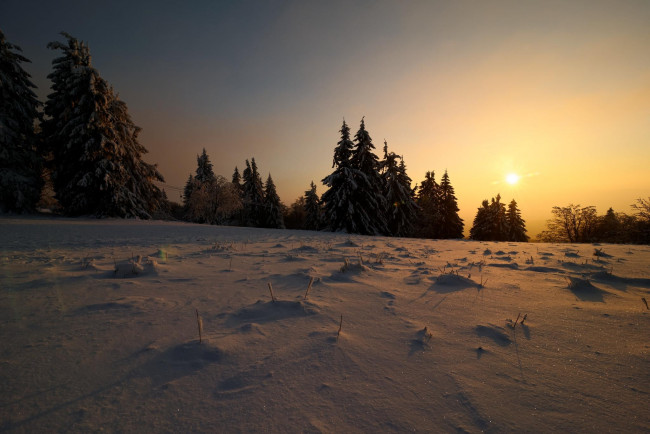 Обои картинки фото природа, восходы, закаты, снег, деревья
