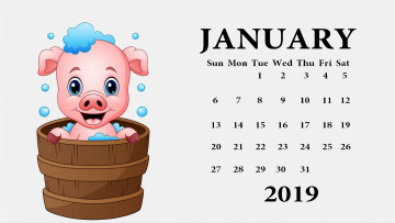 Картинка календари рисованные +векторная+графика свинья ведро поросенок пена
