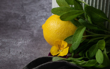 Картинка еда цитрусы лимон мята