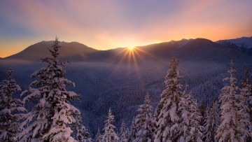Картинка природа восходы закаты снег мороз деревья закат лес красиво зима