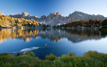 Картинка природа реки озера озеро горы коряга