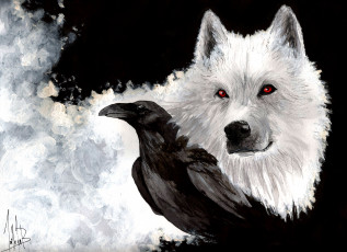 Картинка рисованные животные белый волк ghost клюв ворон взгляд snow