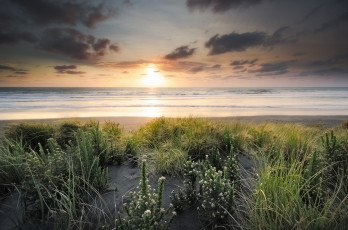 Картинка new zealand природа восходы закаты пляж закат океан новая зеландия