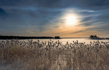 Картинка природа восходы закаты балтийское море финляндия лёд камыш закат