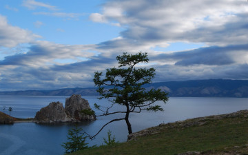 Картинка природа побережье дерево скалы озеро