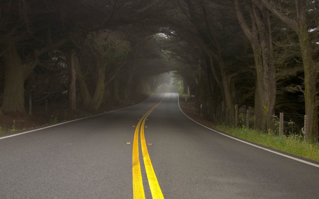 Обои картинки фото природа, дороги, лес, обочина, шоссе, дорога