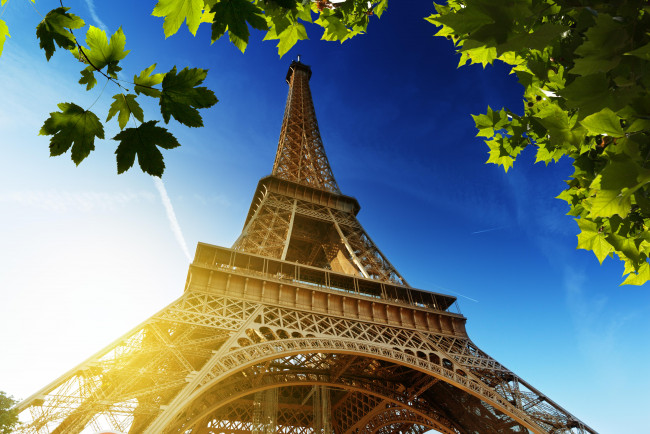 Обои картинки фото города, париж, франция, небо, эйфелева, башня, листья