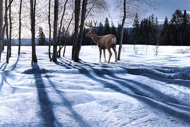 Обои картинки фото afternoon, shadows, рисованные, ronald, parker, зима, природа, лес, олень
