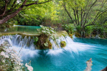 Картинка природа водопады пороги лес водопад