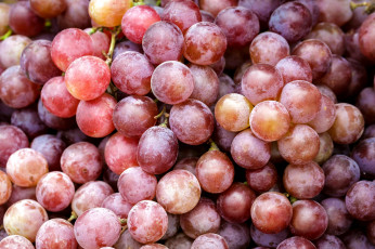 Картинка еда виноград ягоды