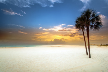 обоя природа, побережье, пальмы, закат, белый, залив, песок, пляж