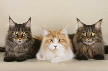 Картинка рисованные животные +коты кота три
