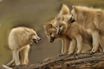 Картинка рисованные животные +волки камни стая вожак волки