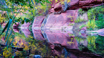Картинка природа реки озера скалы коряги