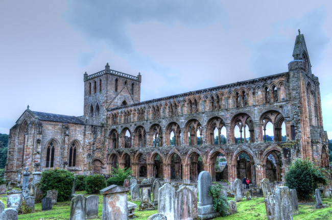 Обои картинки фото jedburgh abbey, города, - католические соборы,  костелы,  аббатства, шотландия, аббатство