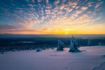 Картинка природа восходы закаты панорама деревья утро снег зима