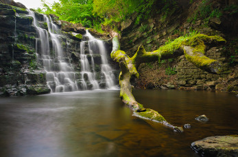 Картинка природа водопады лес камни поток деревья водопад скала