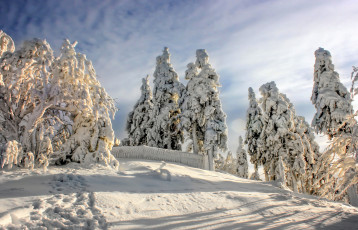 Картинка природа зима снег