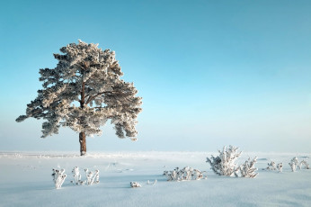 Картинка природа зима сугробы снег