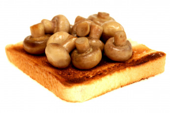 Картинка еда грибы +грибные+блюда тост шампиньоны