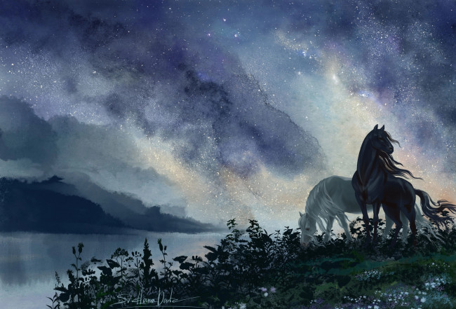 Обои картинки фото рисованное, животные,  лошади, лошади, ночь, небо, манга, кольца, судьбы