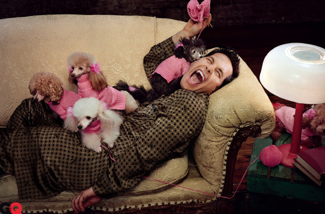 Обои картинки фото мужчины, jim carrey, актер, диван, пудели, собаки