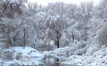 обоя природа, зима, река, снег, деревья