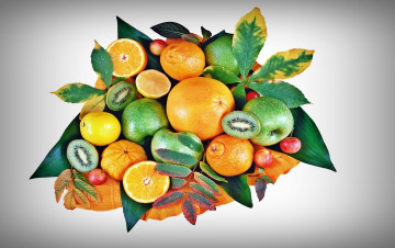 Картинка еда фрукты ягоды цитрусы киви витамины