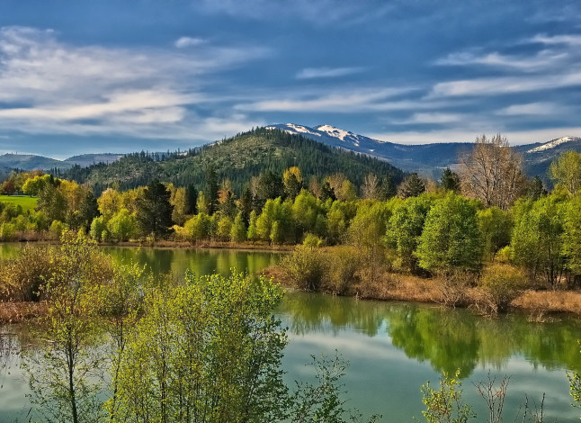 Обои картинки фото coeur, d`alene, river, природа, реки, озера, весна, река, пейзаж, деревья, горы, dalene