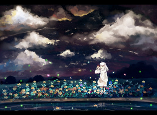 обоя аниме, inuyasha, девочка, облака, небо, водоём, kanna, цветы, ночь, saik, светлячки, арт