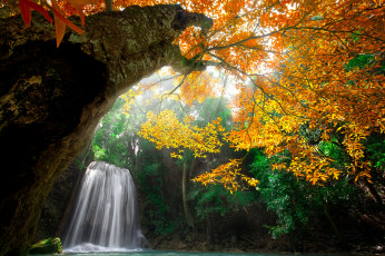 Картинка природа водопады nature water waterfall forest park trees leaves colorful autumn fall colors листья осень деревья лес парк воды водопад