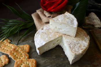 Картинка pla+peque& 241 еда сырные+изделия сыр