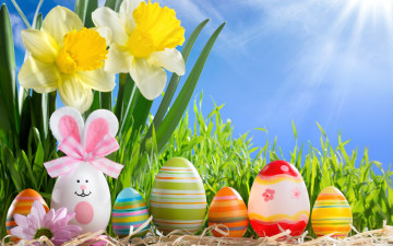 Картинка праздничные пасха happy солнце весна flowers eggs sunshine spring easter трава нарциссы цветы яйца