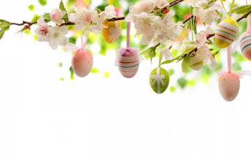 Картинка праздничные пасха нарциссы цветы eggs flowers яйца easter