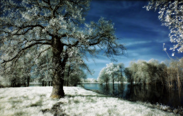 Картинка природа зима иней деревья река