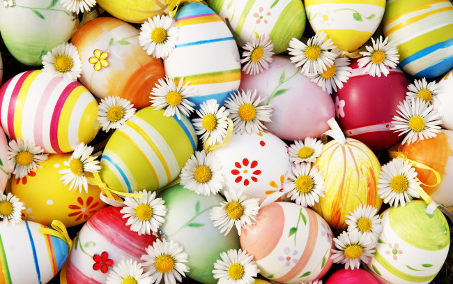 Обои картинки фото праздничные, пасха, easter, цветы, яйца, flowers, eggs, ромашки