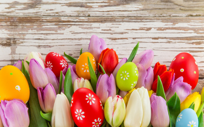 Обои картинки фото праздничные, пасха, easter, tulips, eggs, colorful, spring, яйца, тюльпаны, цветы, весна