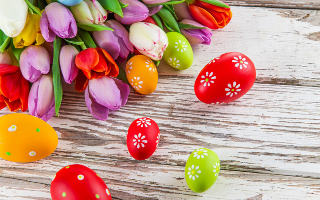 Обои картинки фото праздничные, пасха, easter, tulips, eggs, colorful, spring, яйца, тюльпаны, цветы
