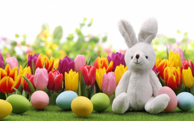 Обои картинки фото праздничные, пасха, тюльпаны, кролик, яйца, bunny, tulips, flowers, spring, eggs, easter
