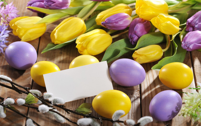 Обои картинки фото праздничные, пасха, яйца, flowers, spring, eggs, easter, тюльпаны, цветы, верба