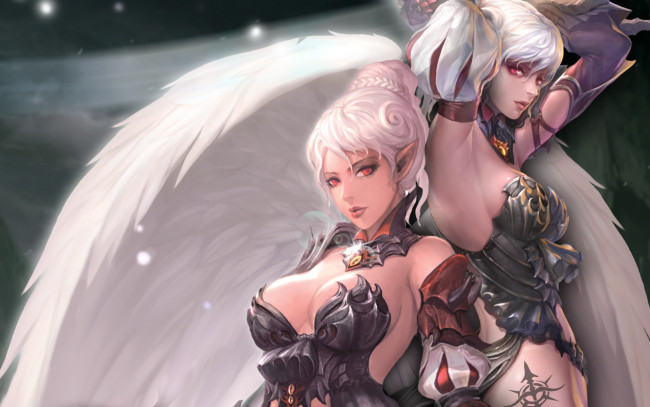 Обои картинки фото видео игры, lineage ii, крылья, ангел, эльф, девушки