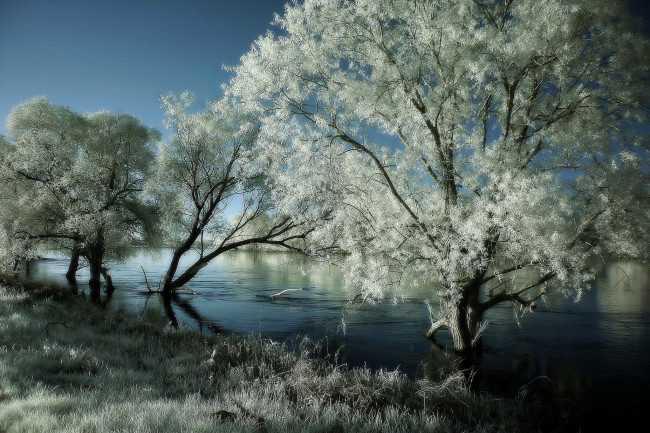 Обои картинки фото природа, зима, река, деревья, иней
