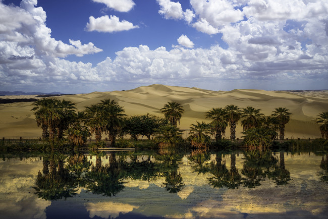 Обои картинки фото природа, пустыни, оазис