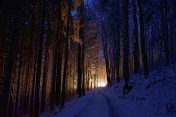 Картинка природа дороги свет лес