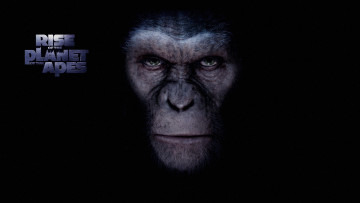 обоя кино, фильмы, rise, of, the, planet, apes, обезьяна