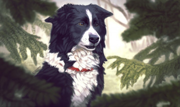 Картинка рисованные животные собаки emma jonsson собака деревья ель хвоя ошейник