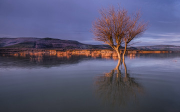 Картинка природа реки озера тучи холмы дерево озеро