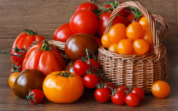 Картинка еда помидоры корзина томаты