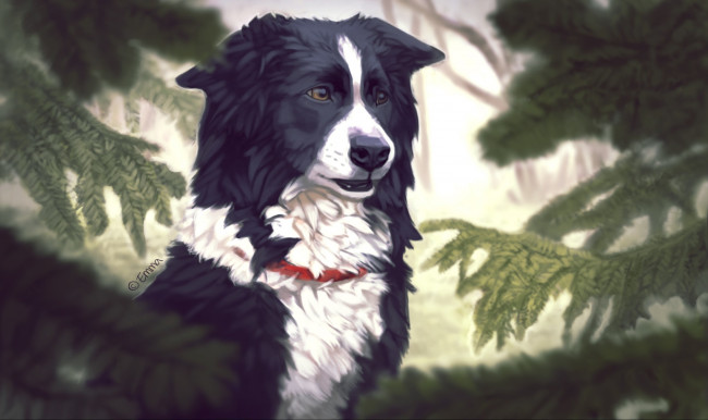 Обои картинки фото рисованные, животные, собаки, emma, jonsson, собака, деревья, ель, хвоя, ошейник